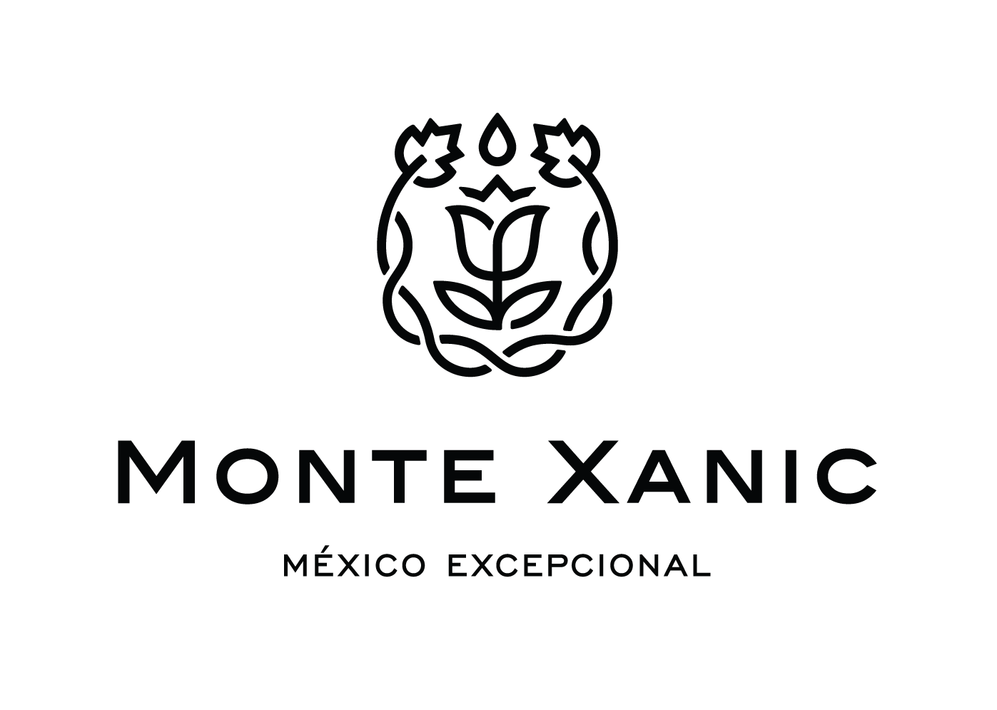 Logo MonteXanic